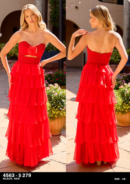 Primavera 4563